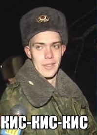 Ворон глумится над котом