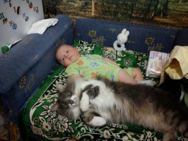 Мальчики и их кошки 