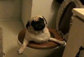 Еще парочку забыли :)