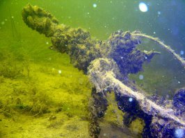 1300 лет под водой... Что вы говорите, подержите мой арбуз! Вот фото коряги, лет 60 под водой пролежала. Для сведения. Китайцы за последние 50 лет себе такую историю построили, что украм и не снилось. Внезапные древнекитайские города всплывают, и тому подобные "географические новости".