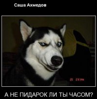 Что пошло не так у "Открытой России"?