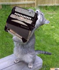 15 СМС из будней офисных работников