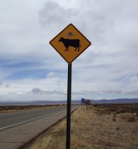 Самые необычные дорожные знаки мира