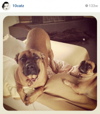 еще сладкая парочка