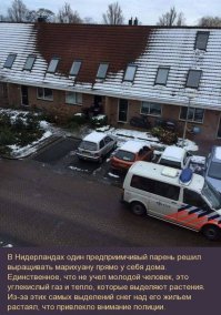 12 вопросов, на которые будет интересно узнать ответы