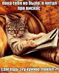 Если бы коты умели писать СМС-ки!