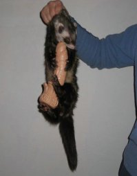 Небанальное фото