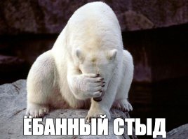 Девушка и плюшевый медведь