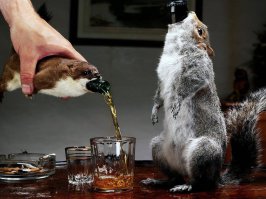 40 оригинальных предметов быта для кухни