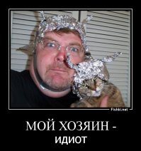 Шапочка из фольги как панацея от кризиса в голове 