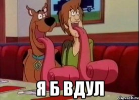 Аспирант Анна Каширская выделила микроорганизмы, питающиеся пластиком