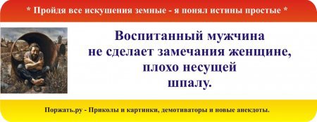 Лучшие цитаты Ричарда Баха