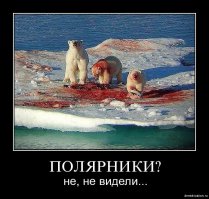 12 продуктов, которые мы все это время ели неправильно