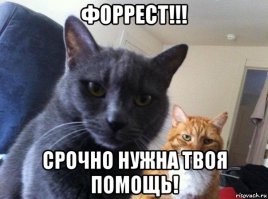 Как я искал клад