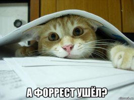 Она всегда была весёлая