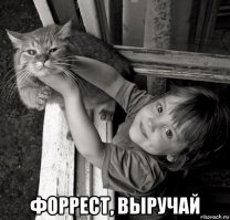 Сфотографировал пейзаж