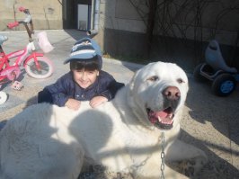 20 ретро-фотографий: дети и их собаки