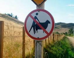 22 неожиданных дорожных знака