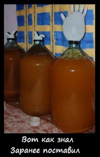 Экосистема в бутылке:
Правда не открывать не получится наверное