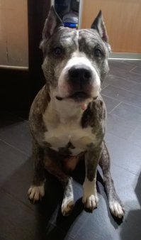 вот мой, пенсионер )