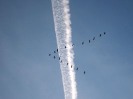 Мой минимализм