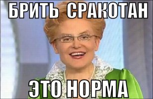 Общение на интимные темы в социальных сетях и забавные комменарии