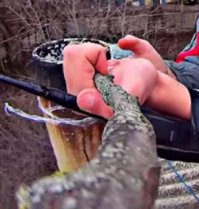 Нормальная у него коряга для селфи.