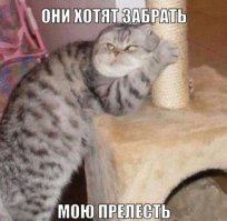 Фотоподборка за 03.02.2015