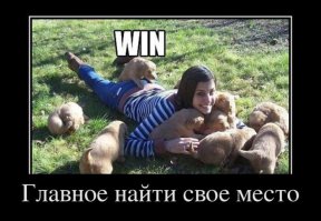 Эти щенки, кажется, задумали убить своих хозяев