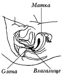 Точка G. Вход только для избранных