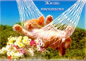Дополненная реальность от Татьяны Хлопковой