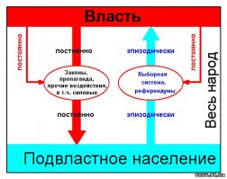 Как работает отрицательная селекция