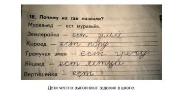 Перлы школьников