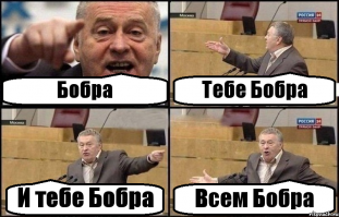 Интересные факты о бобрах 