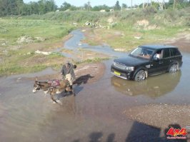 Подборка автоприколов. Часть 207