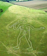 Круги на полях