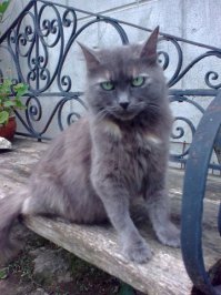 Полное отсутствие мимимишности