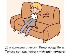 Зато красавец какой!:)
Ну а уж все остальное - не знаю, терпеть придется, взрослого кота перевоспитать не удастся наверное))