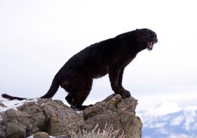 Эпическое фото!!!