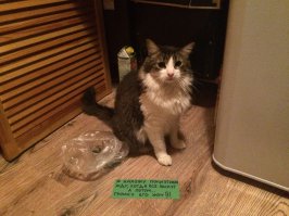 А что, отличная идея. Присоединяемся!