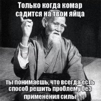 Это наш Фунтик... Счастливая история!