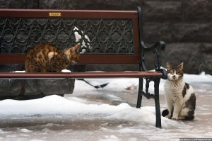 Фото Василия