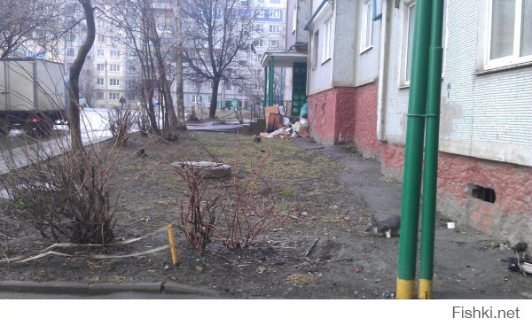 Вот фотографии из спального района, куда автор статьи чуть-чуть не дошёл.