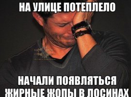 Причина ненавидеть весну