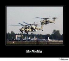 В китайском заповеднике амурская тигрица родила пять малышей