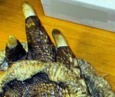 Мне интересно, а что это рядом с шокером-пачкой?!