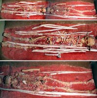 Сунгирь - исследования находок, в том числе и радиоуглеродный анализ, проводились лабораториями Геологического института РАН, университетов Гроннингена, Оксфорда, Аризоны. Результаты свидетельствуют, что поселение Сунгирь могло возникнуть от 20 тыс. до 29 тыс. лет назад (брянское межледниковье). Самая ранняя дата, полученная при анализе коллагена костной ткани из сунгирских погребений, – 26200±640 (АА-36475), а самая поздняя – 19160±270 (АА-36473) 

(Захоронение в охре - славянская традиция)