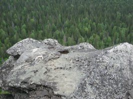 На фотографиях Мегалит, отпечаток ноги великана, Шигирский идол (возраст идола 9,5 тысяч лет)