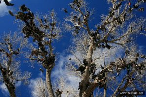 Весна. Ботинки прилетели.