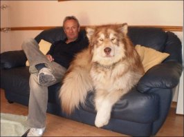 Бронежилет? Не, не надо...